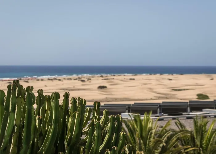 Apartman Alsol Patricio *