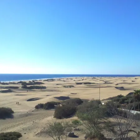 Апартаменты Alsol Patricio *